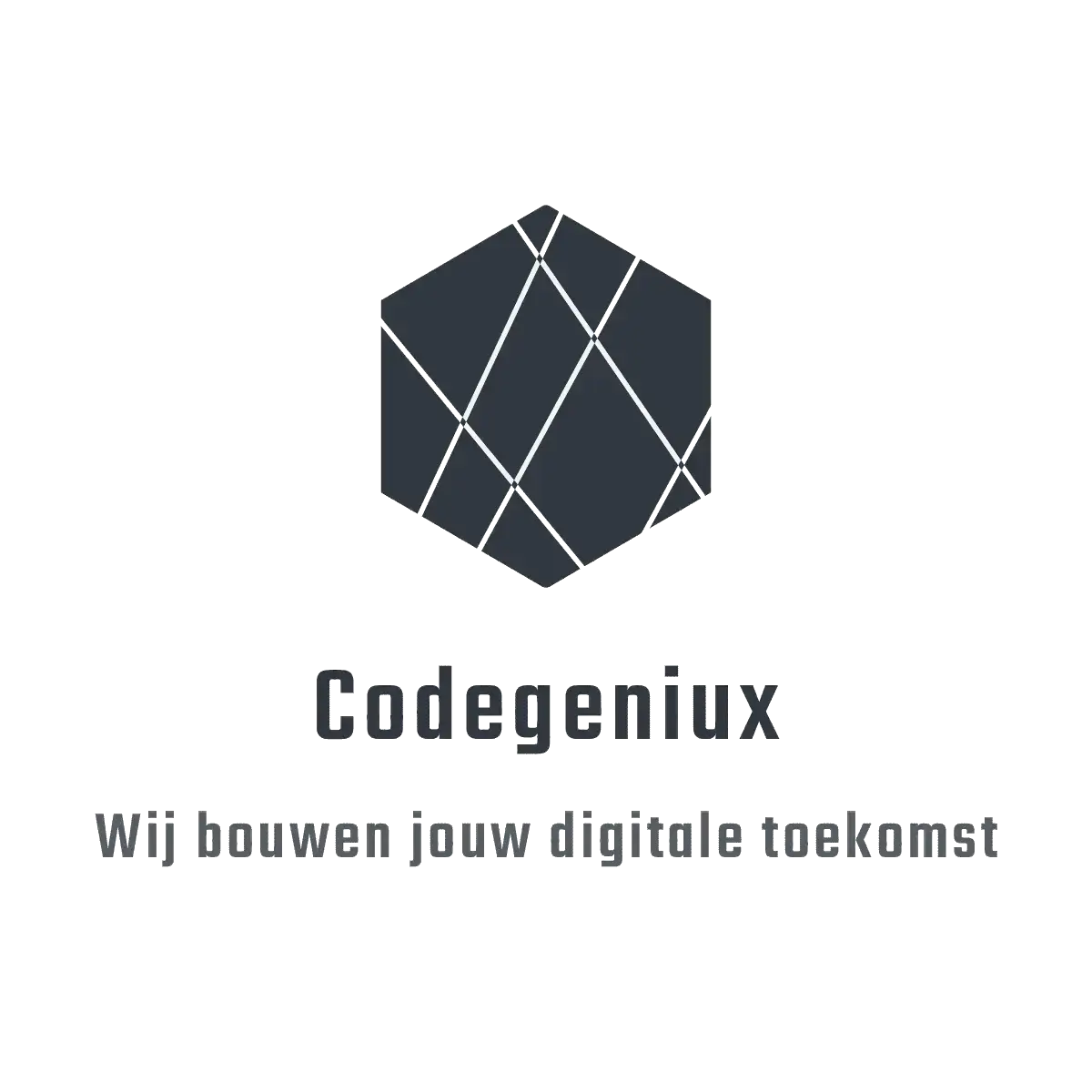 CodeGeniux Hero Afbeelding
